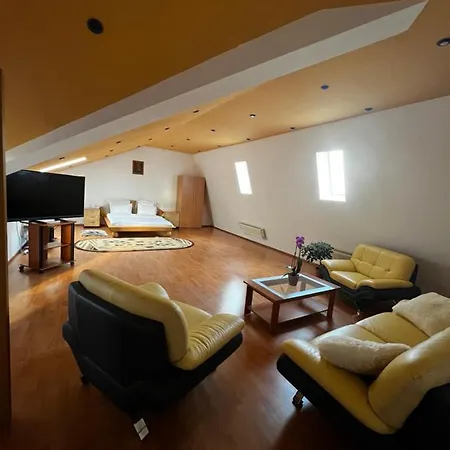 Apartment Apartament Central Timisoara *